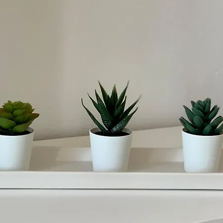 Salitre Apartamento *