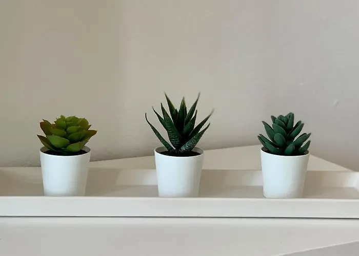 Salitre Appartement *